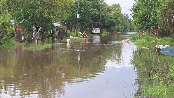 Fuerte temporal en Corrientes: la crecida del Riachuelo afectó barrios y zonas rurales