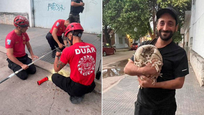 Córdoba: un grupo de bomberos rescató a un gato de pocos meses de vida que había caído en un desagüe