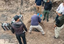 Detuvieron en una terminal de micros a los pilotos de la avioneta narco que se estrelló en Salta