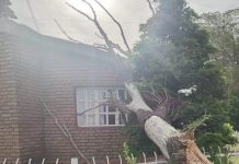 El Municipio de Comodoro Rivadavia reforzó la asistencia para las personas afectadas por los fuertes vientos