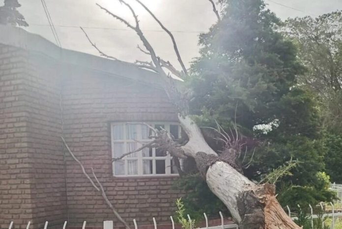 El Municipio de Comodoro Rivadavia reforzó la asistencia para las personas afectadas por los fuertes vientos