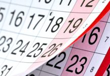 ¿El viernes 21 de noviembre es feriado o día no laborable?