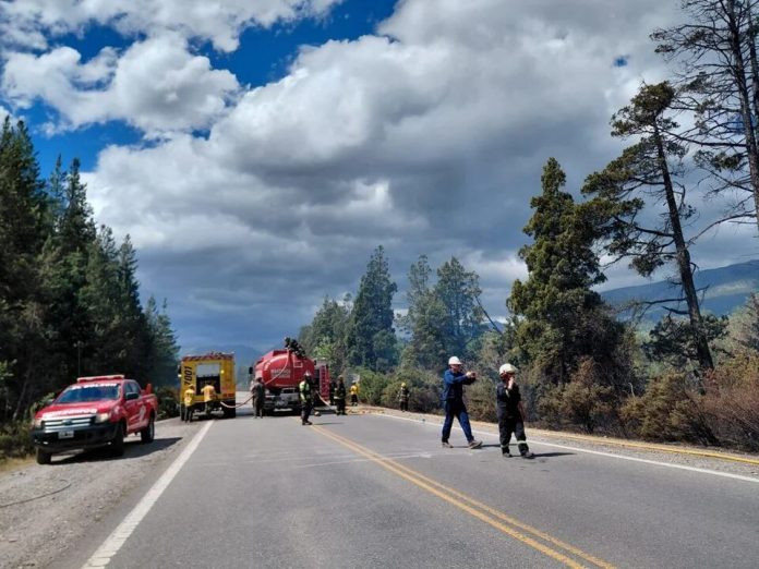 Fuerte incendio forestal en El Bolsón: los brigadistas intentan controlar el fuego y hay preocupación por los fuertes vientos
