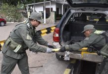 Jujuy: secuestraron más de 46 kilos de cocaína ocultos en un remis