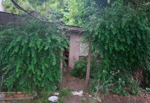 La Policía halló a un hombre muerto en una casa de La Plata tras un llamado por malos olores