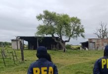 Pasó 10 años esclavizado en un campo: mataba animales para comer y tomaba agua de pozo