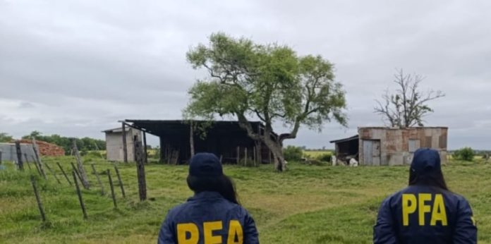 Pasó 10 años esclavizado en un campo: mataba animales para comer y tomaba agua de pozo