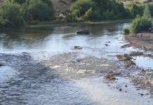 Quiso cruzar un río de Neuquén con una camioneta y quedó varado: el hombre admitió estar alcoholizado