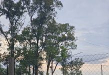 Tras dos derrumbes, Córdoba decidió cerrar todos los polideportivos de la provincia