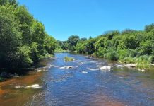 Una turista brasilera se metió desnuda a un río de Córdoba y provocó la intervención policial