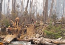 Chubut: el incendio en El Turbio ya consumió 3000 hectáreas mientras avanza el operativo para frenar su expansión