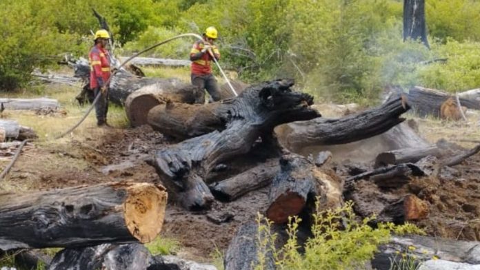 El Gobierno Nacional reforzó medidas para prevenir incendios en parques de la Patagonia