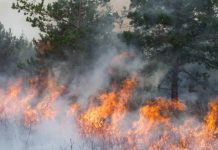 Incendios forestales: se controlaron dos focos, pero continúan los trabajos para frenar el avance en Chubut