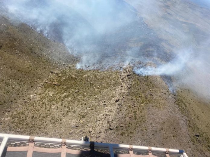 Un incendio forestal en San Rafael afectó más de 300 hectáreas: los brigadistas lograron contener las llamas