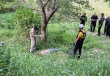 Estuvo desaparecida por dos días y la encontraron inconsciente al costado de una avenida de Rosario