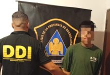 Atropelló, mató y se fugó en Pilar: detuvieron a un sospechoso de 19 años