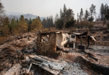 El intendente de Epuyén dijo que “no queda una montaña verde” por los incendios e informó que ya se quemaron más de 100 casas