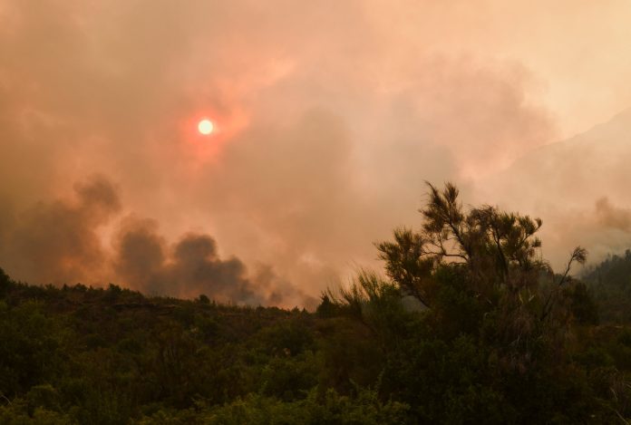 Incendios en la Patagonia: llegan las lluvias a Chubut y Neuquén, pero el viento genera preocupación
