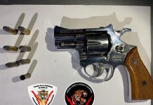 Rosario: discutió con sus vecinos por un perro, los amenazó con un arma de fuego y fue detenido