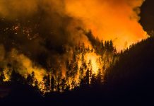 Un mes de los incendios en Chubut: la cronología de la catástrofe ambiental que ya arrasó con más de 50 mil hectáreas