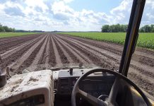 Un trabajador murió al volcar y ser aplastado por su tractor en Mendoza