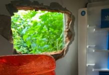 “A ver si aprendiste choreando conmigo”: cayó una banda de boqueteros que robó una relojería en Lomas de Zamora