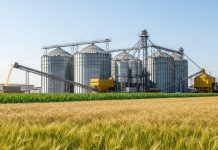 Accidente laboral en Entre Ríos: un hombre cayó desde cinco metros mientras trabajaba en un molino arrocero y murió