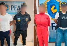 Cayó una pareja acusada de integrar una banda dedicada a la venta de vehículos robados