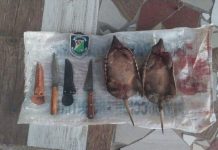 Caza ilegal en Mendoza: detuvieron a 7 hombres por destrucción de fauna silvestre