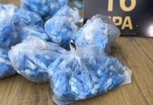 Córdoba: 20 integrantes de una banda narco detenidos, más de 7 kilos de drogas y $50 millones secuestrados