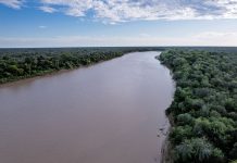 Crecidas en Salta: el río Bermejo superó los 4 metros y advierten por una situación similar en el Pilcomayo