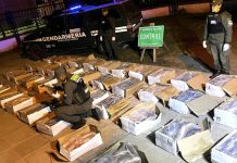 Hallaron un camión que transportaba más de 40 cajas de pescado en malas condiciones a Córdoba