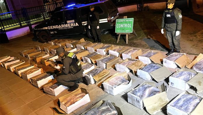 Hallaron un camión que transportaba más de 40 cajas de pescado en malas condiciones a Córdoba