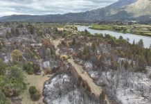 Incendios en Chubut: cómo sigue la lucha de los brigadistas contra los focos activos en el Parque Nacional Los Alerces