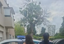 La mujer que apuñaló a su inquilino por masturbarse frente a sus hijos quedó en libertad por actuar “en defensa de los menores”