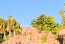 La recorrida por la lujosa mansión de Carlos Tevez: pileta con cascada, un museo con los tesoros de su carrera y la mini Bombonera