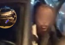 Mar del Plata: un joven manejaba borracho a alta velocidad, chocó a otro auto y amenazó a las víctimas