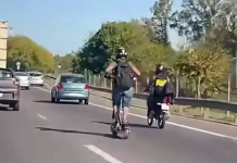 Monopatines: qué dice la normativa que prohíbe su uso en autopistas y la advertencia de una experta en seguridad vial