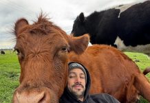 “Necesito toda la plata”: los chats entre el influencer rural que denunció el robo de animales y el principal imputado