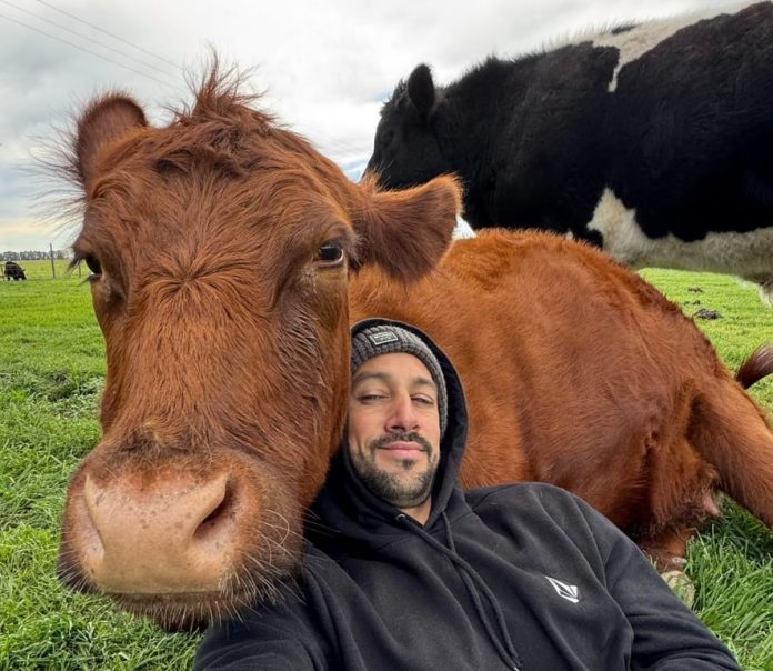 “Necesito toda la plata”: los chats entre el influencer rural que denunció el robo de animales y el principal imputado