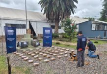 Secuestraron más de 50 kilos de marihuana en un operativo en la frontera de Salta