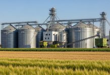 Tragedia en Pergamino: un trabajador cayó dentro de un silo en una planta de acopio de grano y murió aplastado por los cereales