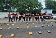 Tucumán: descubrieron más de 200 kilos de marihuana en un camión que iba a Córdoba y hay seis detenidos