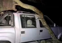 Un fuerte temporal de granizo y viento azotó a La Pampa: provocó daños y dejó sin luz a varias localidades