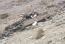 Mendoza: un camión desbarrancó en el paso a Chile, el conductor se tiró antes y se salvó de milagro