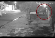 Salvaje entradera a una jubilada en La Matanza: la torturaron durante casi dos horas, la desvalijaron y huyeron en su camioneta