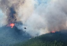 Drones agrícolas: cómo es el innovador método utilizado en Chubut para recuperar los bosques incendiados
