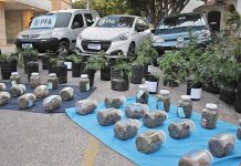 “Estudiantes de la Planta”: cayó una peligrosa banda que cultivaba y vendía marihuana en ámbitos universitarios de La Rioja
