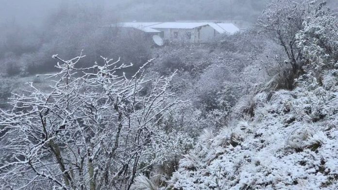 Fuerte nevada en el norte del país en pleno otoño: Salta y Jujuy se tiñeron de blanco