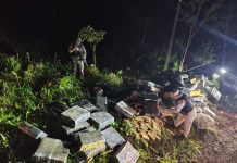 Operativo de película en el Paraná: intentaron ingresar más de tres toneladas de marihuana en lancha y huyeron a pie